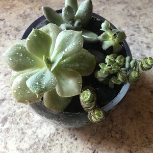 Meet your Posher, Jill